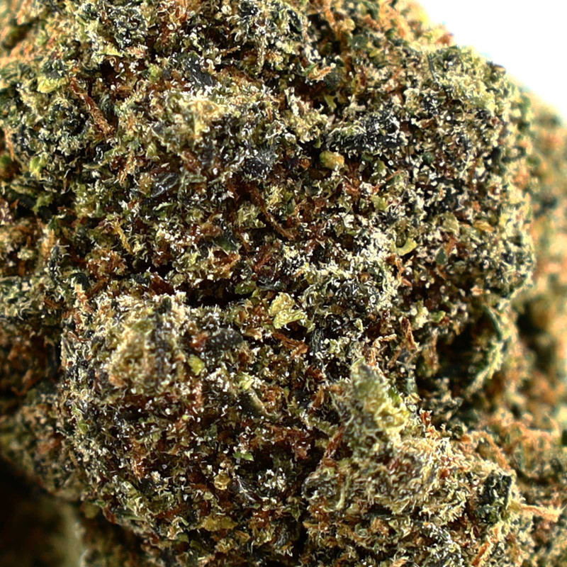 GELATTI INFUSED KWIAT COOKIES