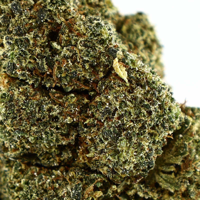 LAUGHING GAS INFUSED KWIAT COOKIES