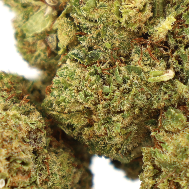 HONEY BUN INFUSED KWIAT COOKIES