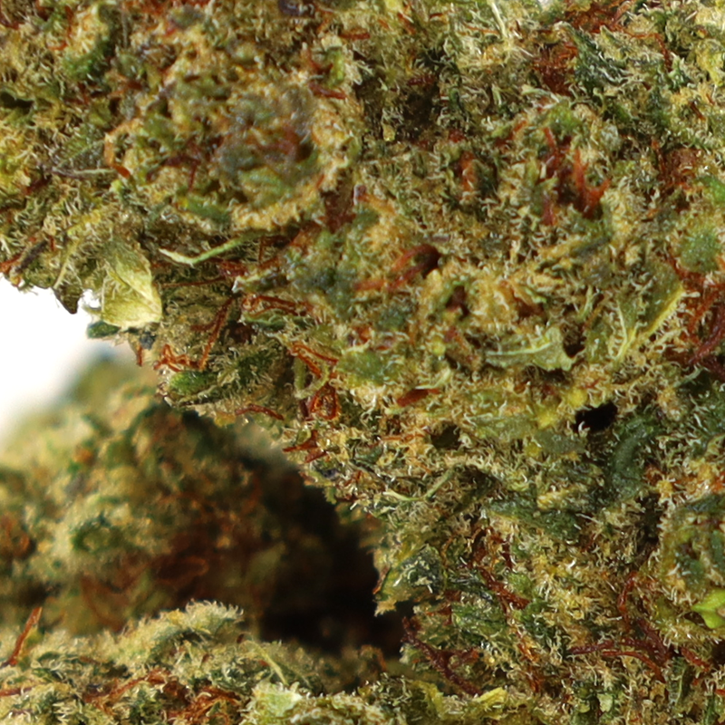 OCEAN BEACH INFUSED KWIAT COOKIES