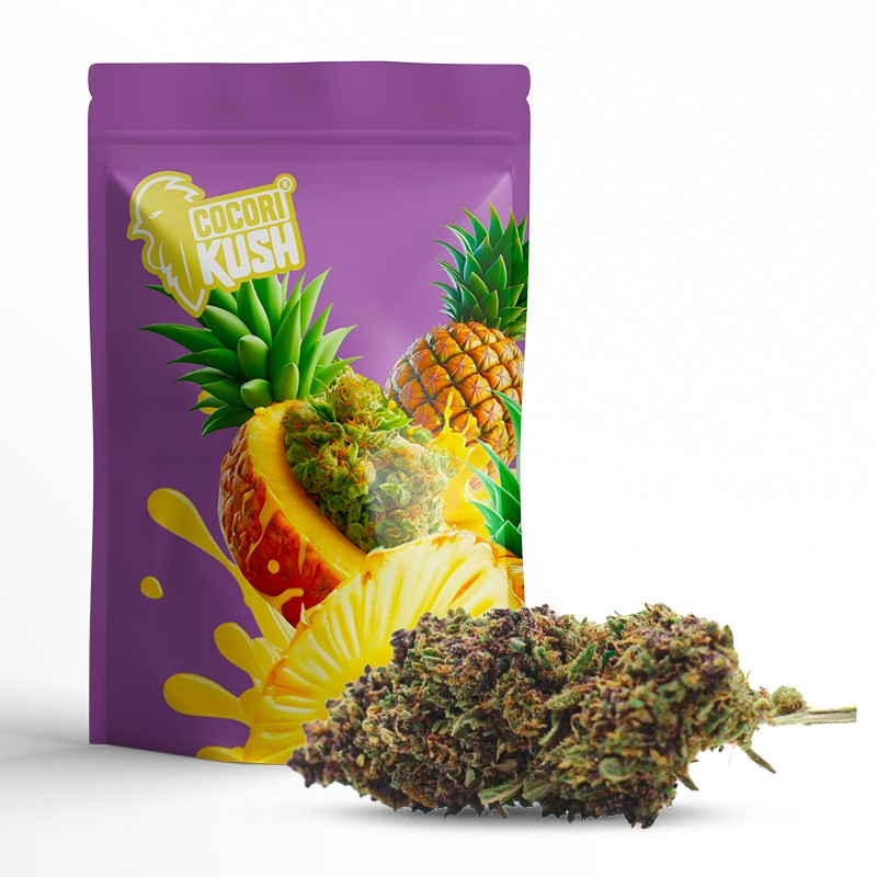 PURPLE PUNCH CBD COCORIKUSH
