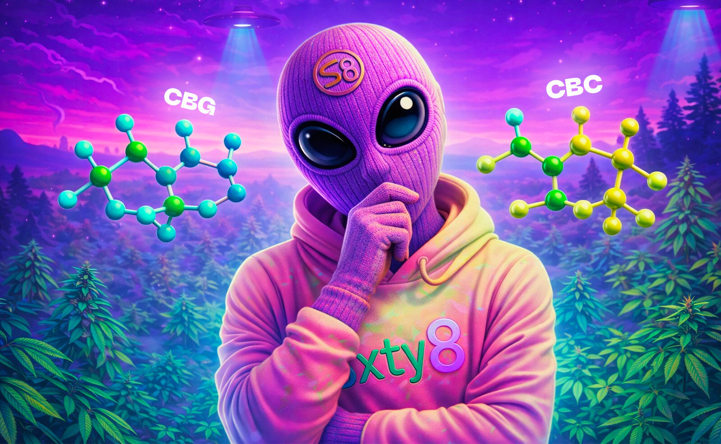 CBG vs CBC: jakie są różnice?